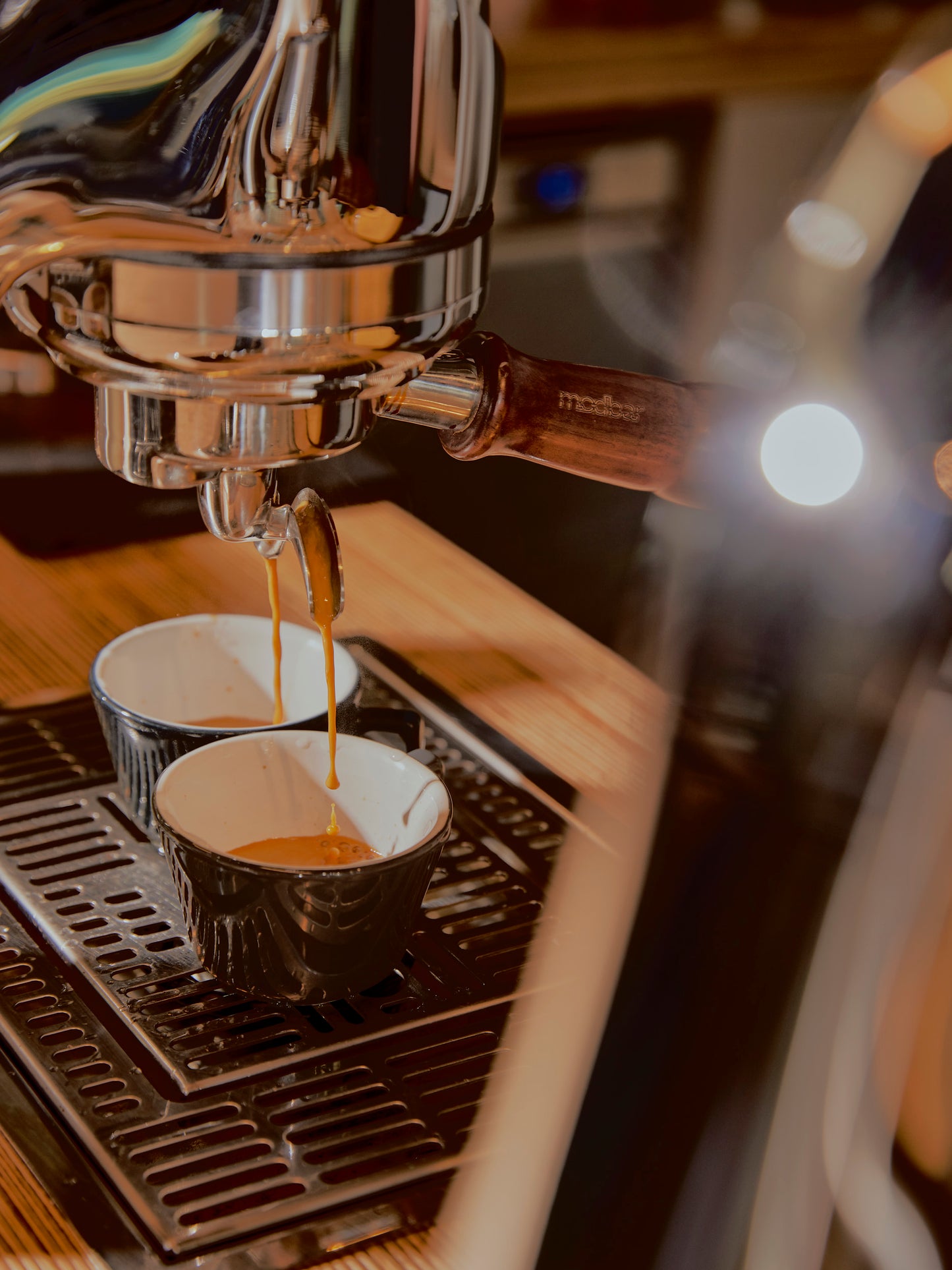 Mexico, El Motmot Decaf