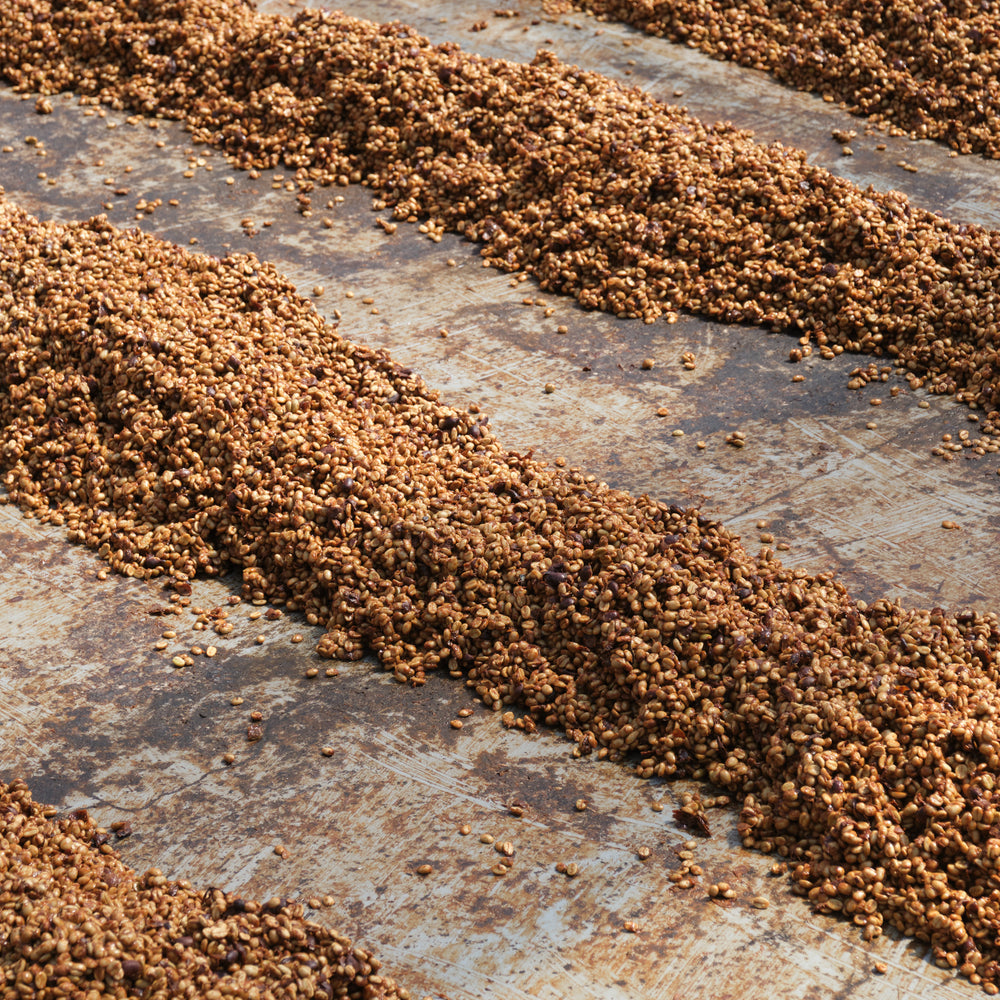 
                  
                    Costa Rica, Las Lajas
                  
                
