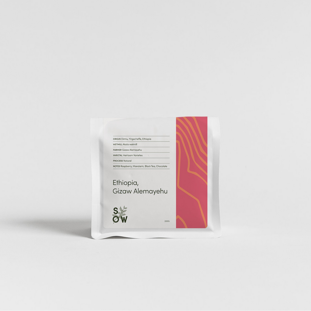 Ethiopia, Gizaw Alemayuhe