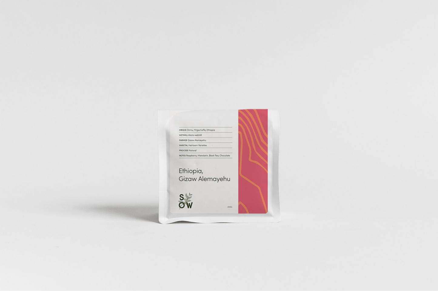 Ethiopia, Gizaw Alemayuhe